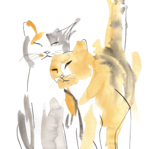 Chats Câlin