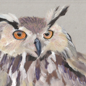 Hibou grand duc