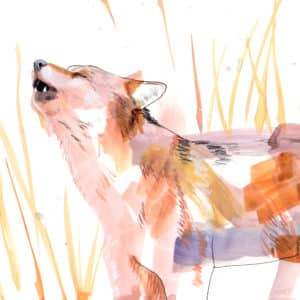 Loup